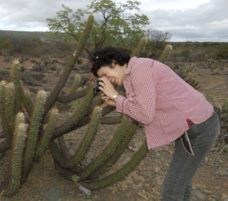 Daniela Cristina Zappi